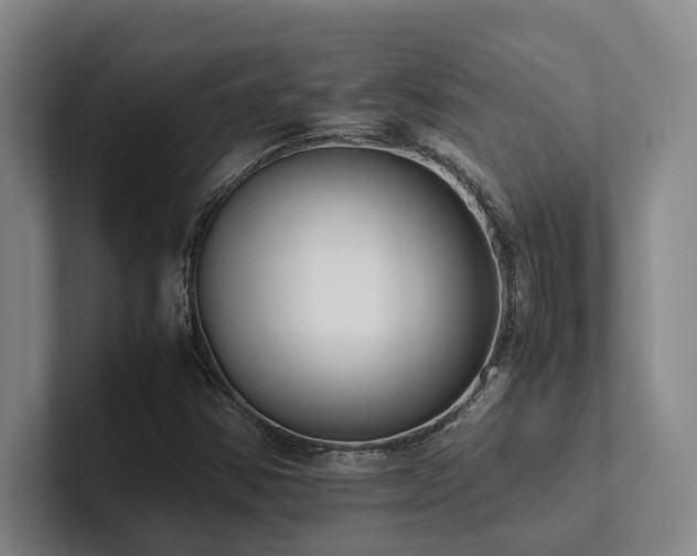 X0000102261354200807251321