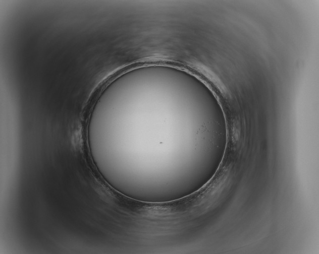 X0000102261356200807251321