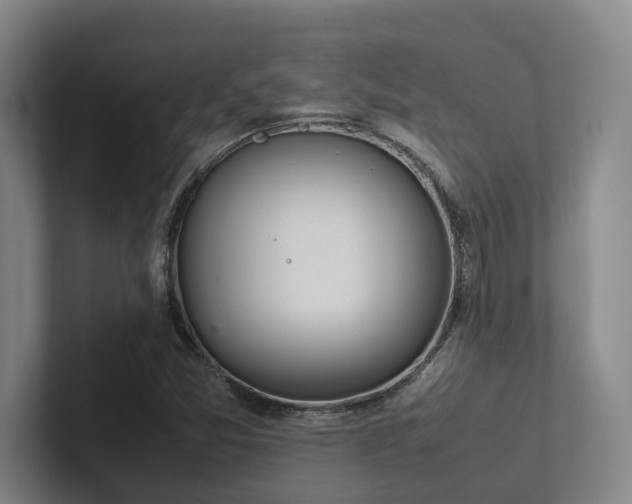 X0000102261357200807251321