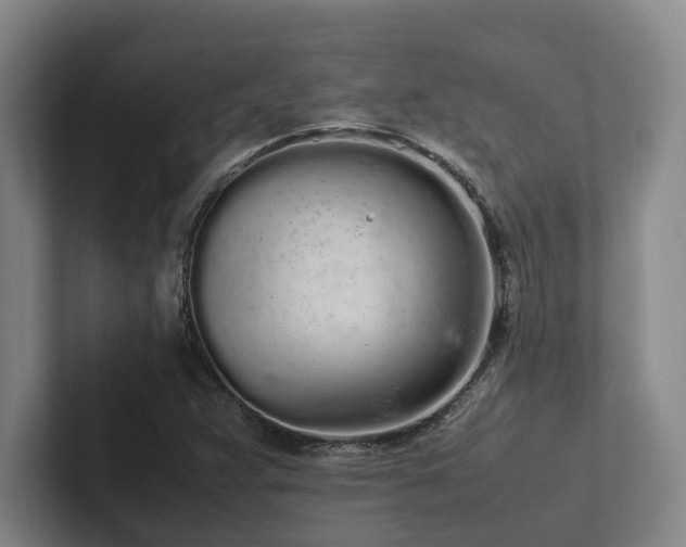 X0000102261359200807251321