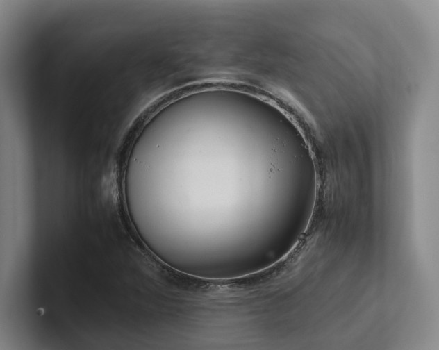 X0000102261360200807251321