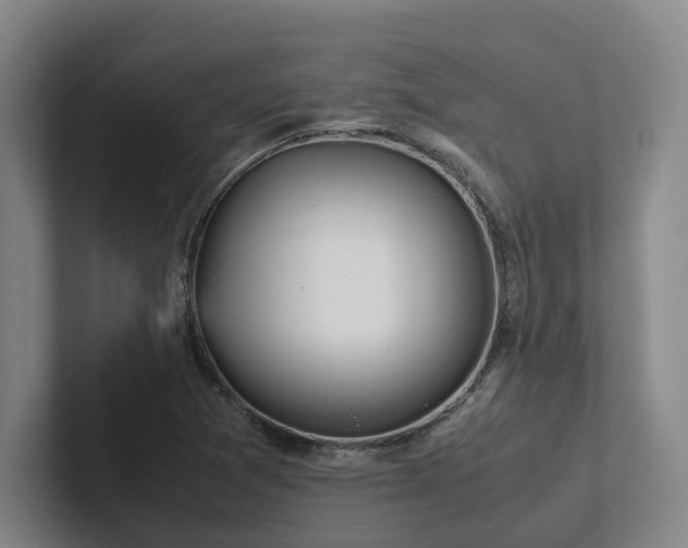 X0000102261361200807251321