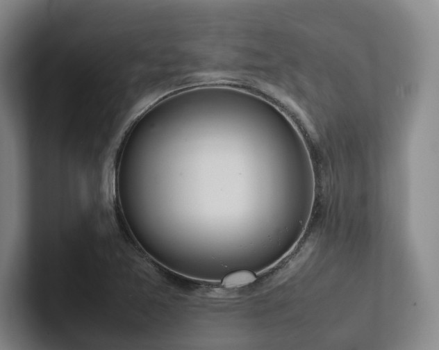 X0000102261365200807251321