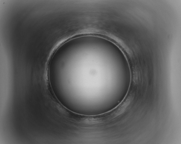 X0000102261366200807251321