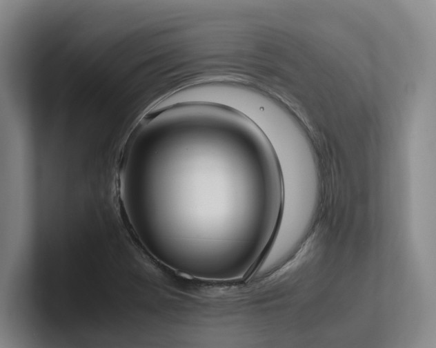 X0000102261369200807251321