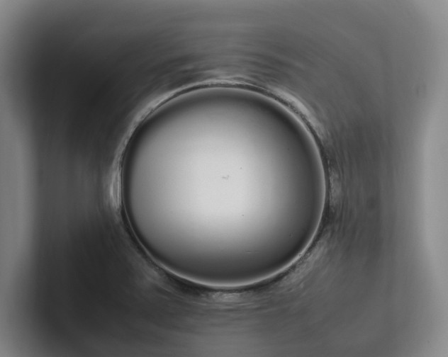 X0000102261371200807251321