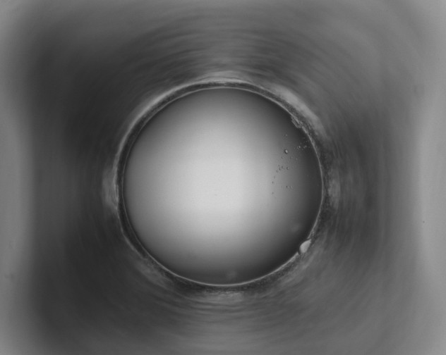 X0000102261372200807251321