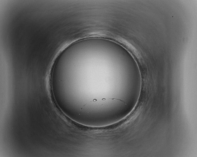 X0000102261373200807251321