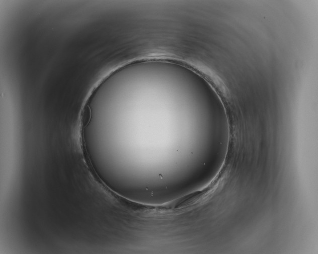 X0000102261374200807251321
