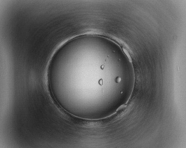 X0000102261375200807251321