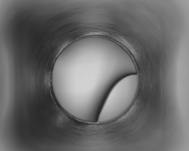 X0000102261377200807251321
