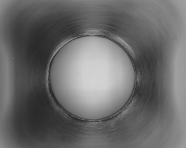 X0000102261378200807251321