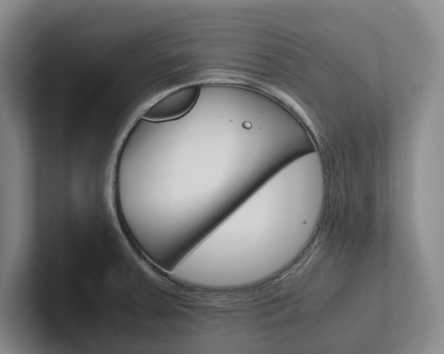 X0000102261379200807251321