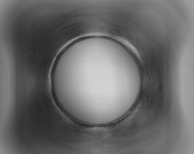 X0000102261380200807251321