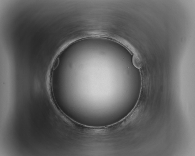 X0000102261381200807251321
