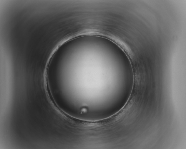 X0000102261382200807251321