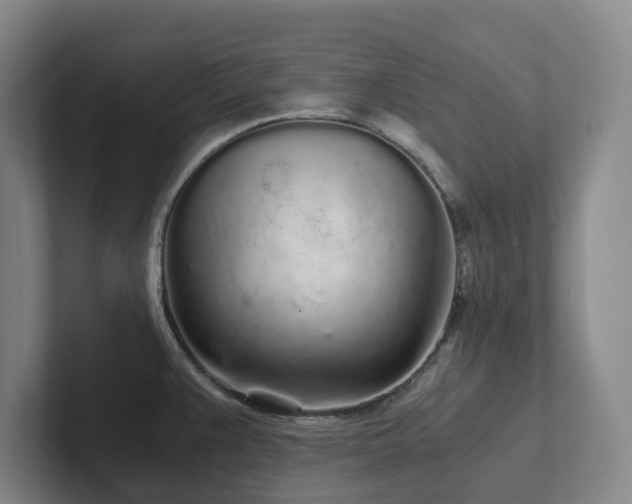 X0000102261383200807251321