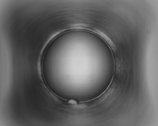 X0000102261384200807251321