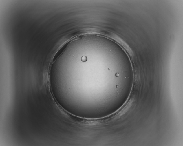 X0000102261385200807251321