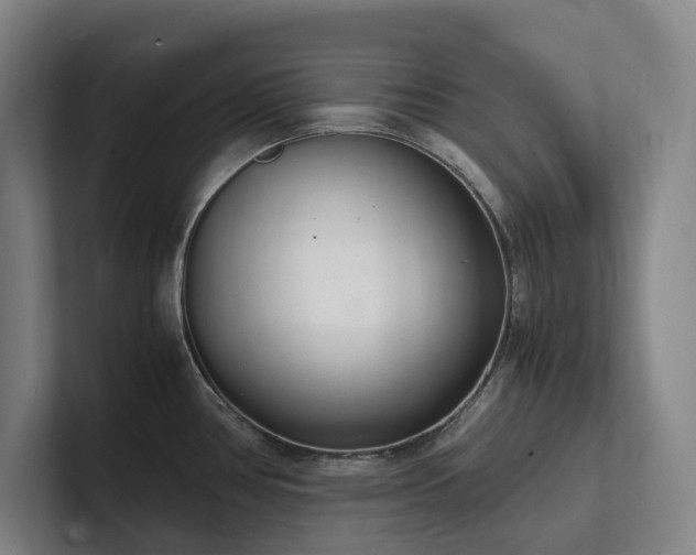 X0000102261386200807251321