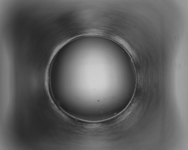 X0000102261387200807251321