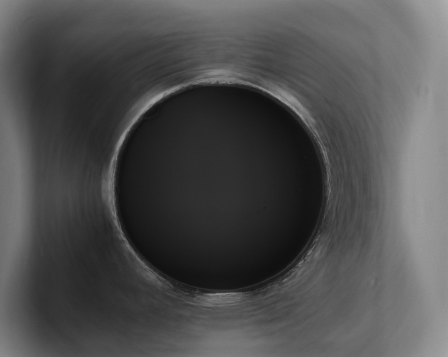X0000102261392200807251320