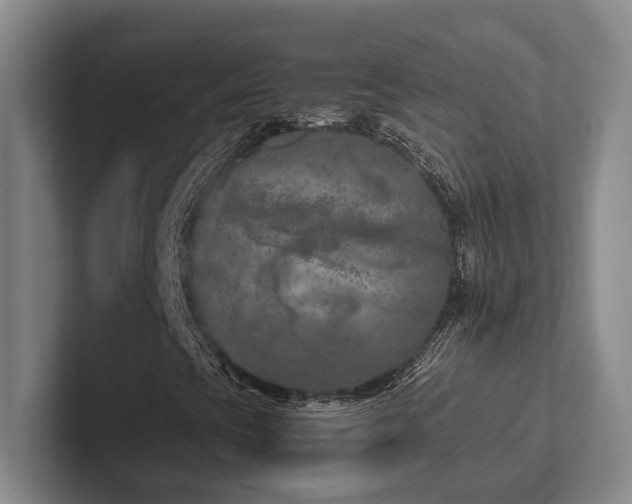 X0000102261393200807251320