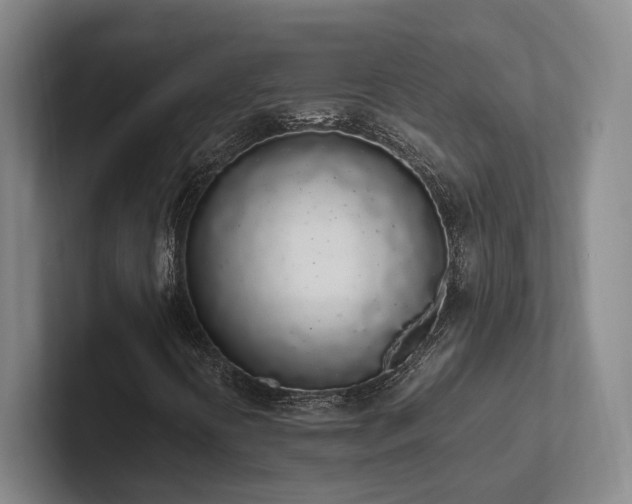 X0000102261394200807251320