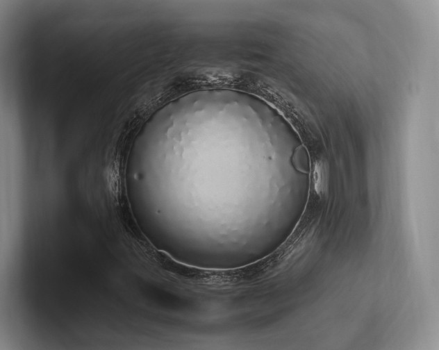 X0000102261395200807251320