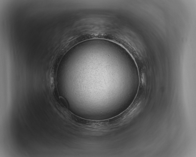 X0000102261396200807251320