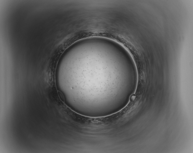 X0000102261398200807251320