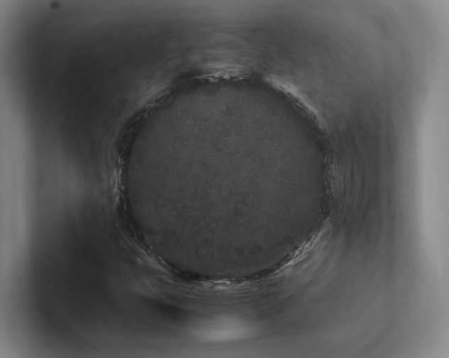 X0000102261399200807251320