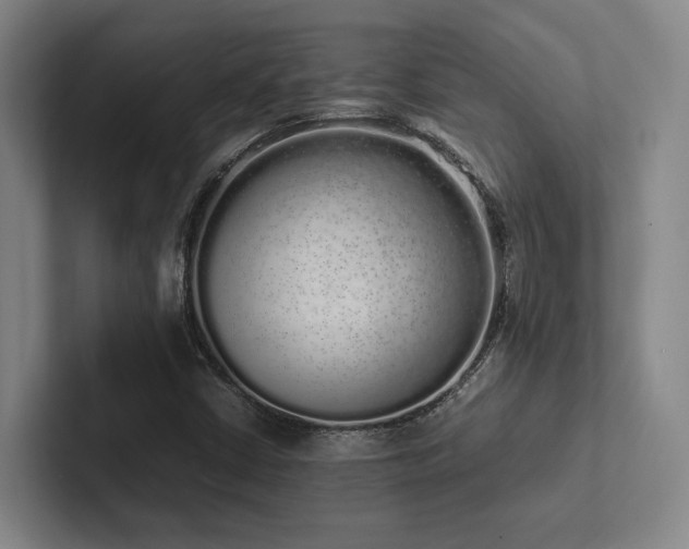 X0000102261402200807251320