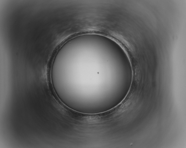 X0000102261404200807251320
