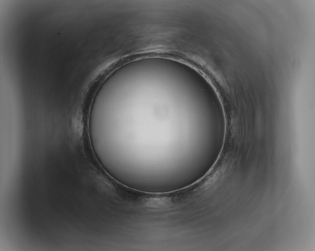 X0000102261406200807251320