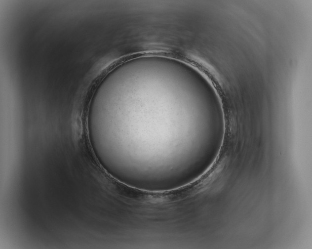 X0000102261407200807251320