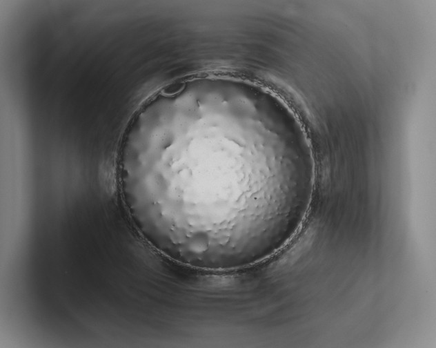 X0000102261409200807251320