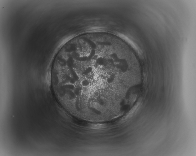 X0000102261413200807251320