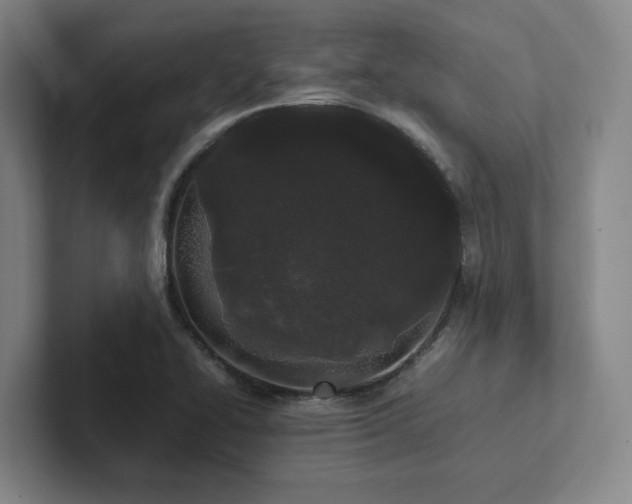 X0000102261414200807251320