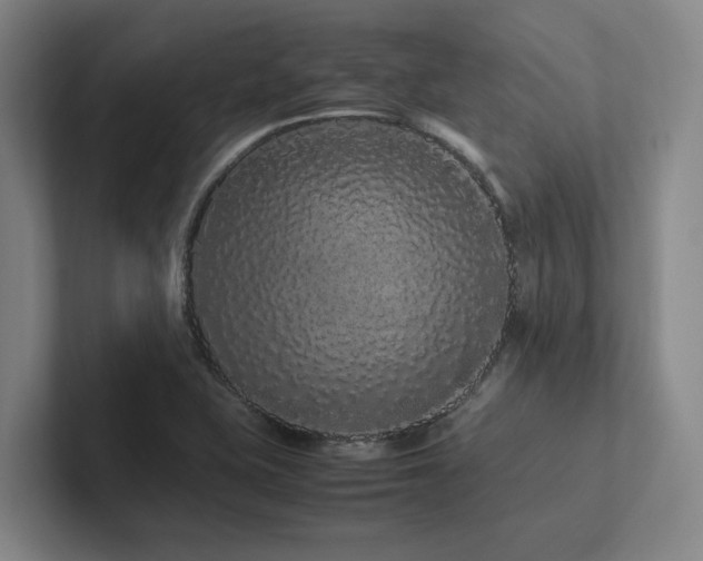 X0000102261415200807251320