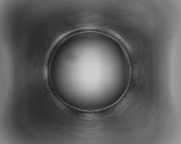 X0000102261416200807251320