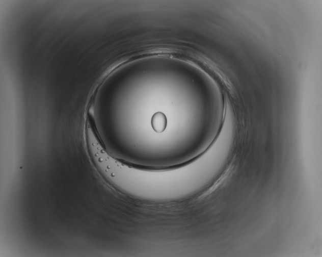 X0000102261417200807251320