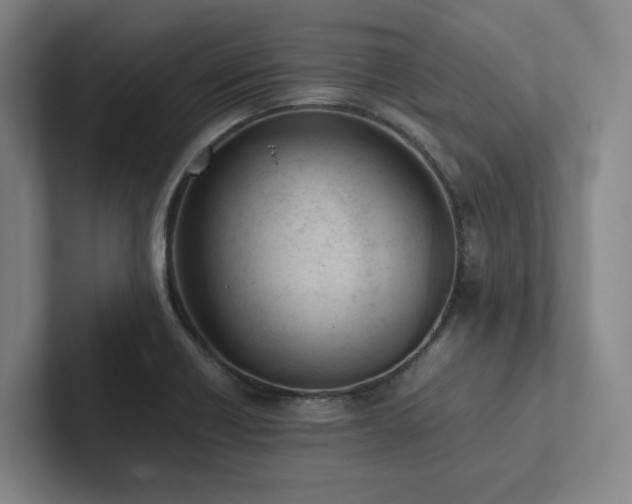 X0000102261418200807251320