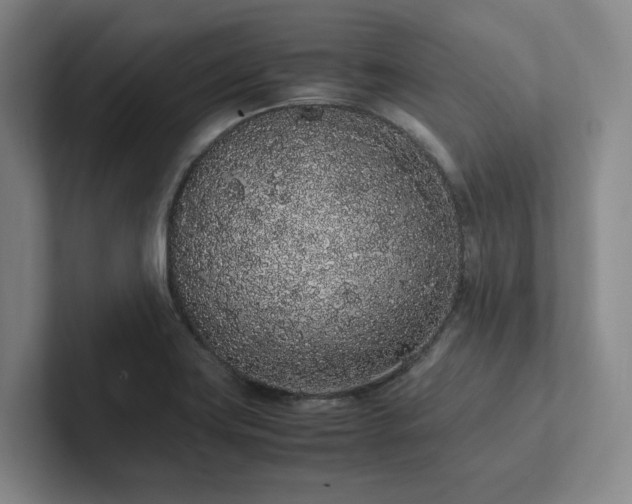 X0000102261419200807251320