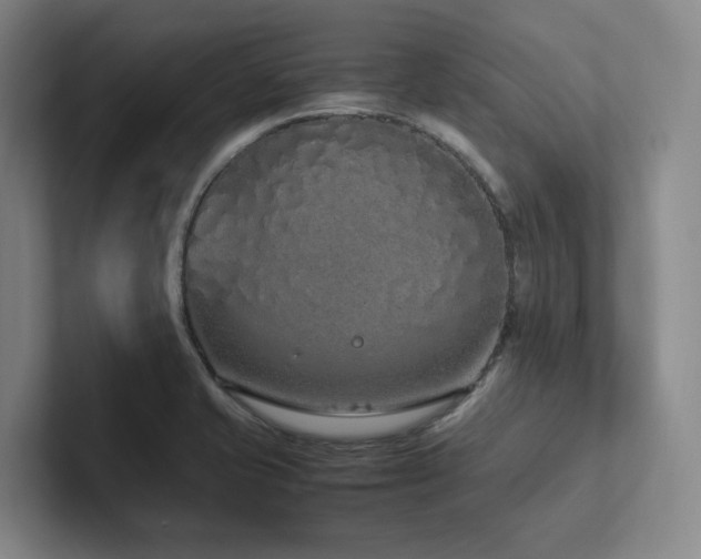 X0000102261421200807251320