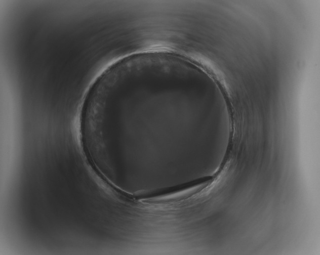 X0000102261422200807251320