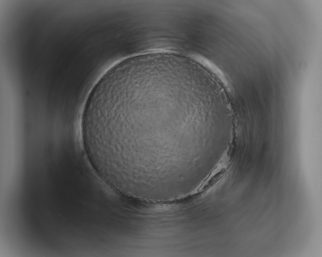 X0000102261423200807251320