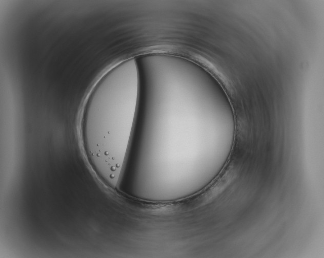 X0000102261426200807251320