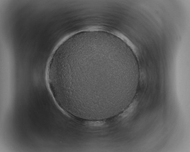 X0000102261429200807251320