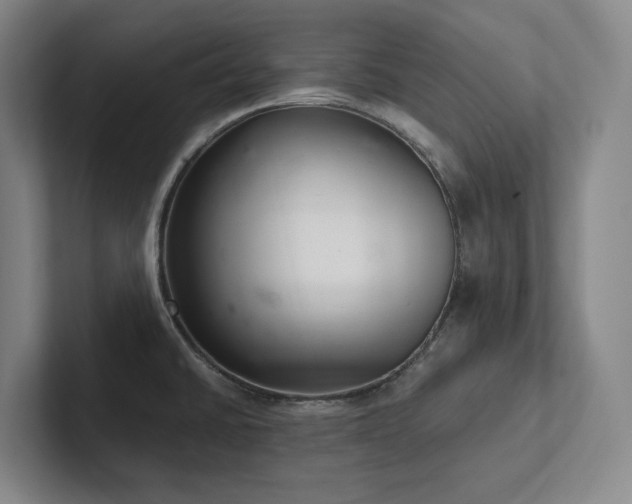 X0000102261430200807251320